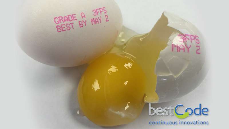 BestCode-Model-88S-Food-Grade-High-Speed-Traverse-Egg-Grading